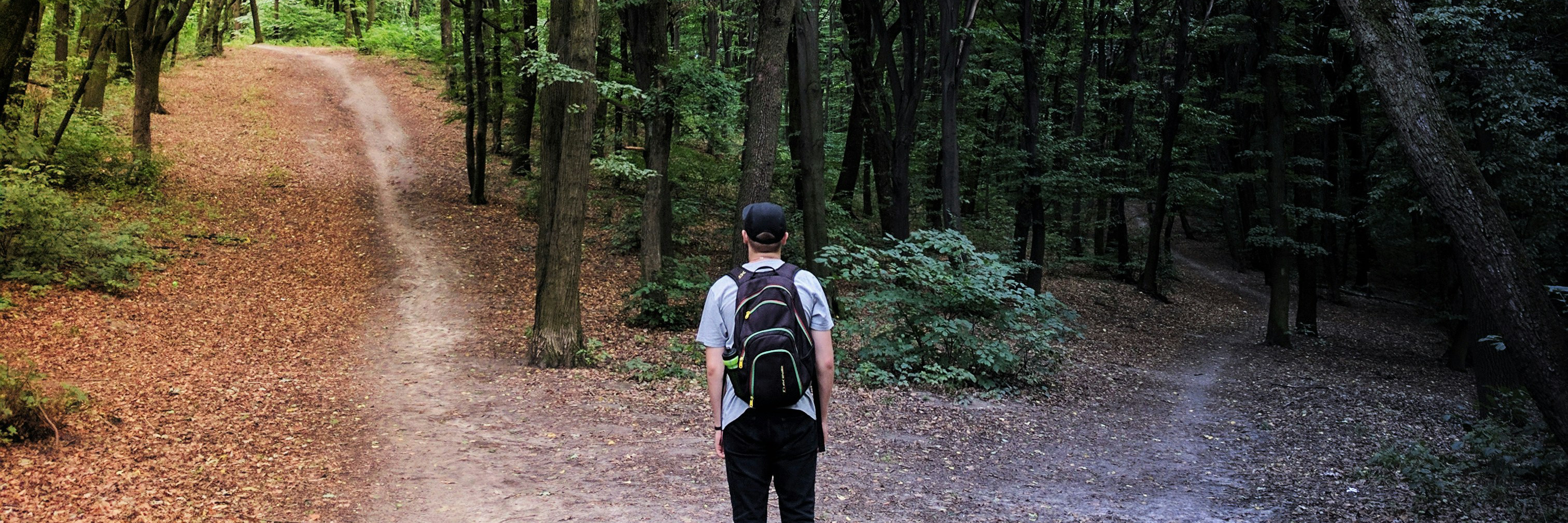 A man standing at a fork in the the road in a forest